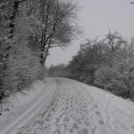 Wanderung durch den Schnee 9