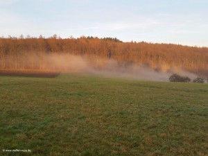 Nebel in den Oberwiesen 4